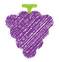 Grape illustration / handwriting style Royalty Free Stock Photo